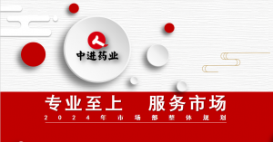 專業(yè)至上 ?服務(wù)市場(chǎng)? ——中進(jìn)市場(chǎng)部召開2023年度工作會(huì)議